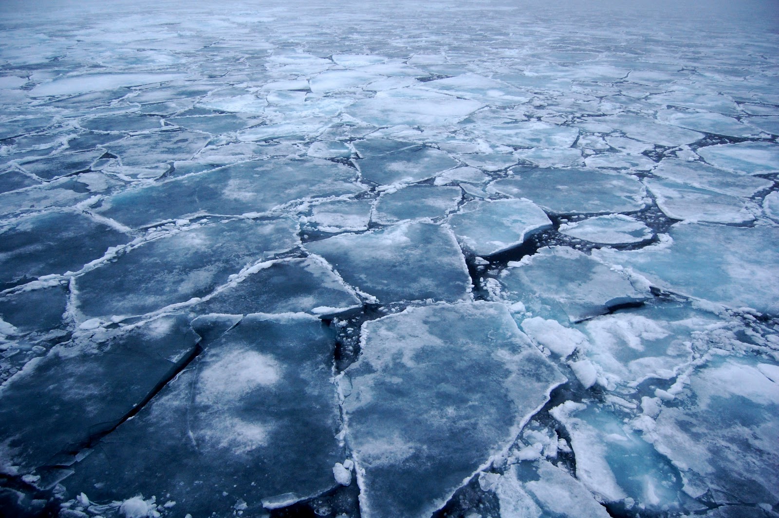 The Real Secret to Breaking the Ice With New Prospects